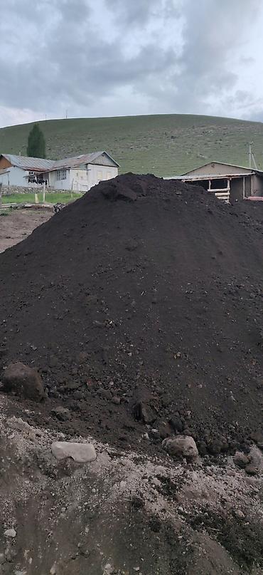 ягоды: ЫСЫК АТА ТОГУЗ БУЛАК Чернозём горный — плодородный грунт для огородов — 4