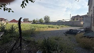 сдать: 25 соток Газ, Электричество, Водопровод — 8