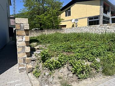 20 ci sahe: 1 sot, Biznes üçün, Mülkiyyətçi, Kupça (Çıxarış) — 2