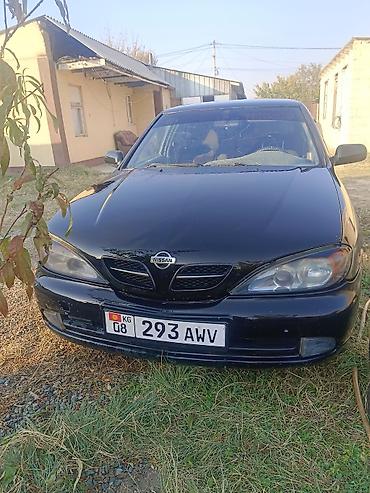 Nissan Primera: 2000 г., Механика, Бензин, Седан at lalafo.kg Nissan Primera: 2000 г., Механика, Бензин, Седан