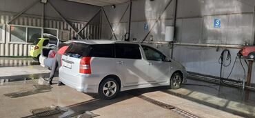 Toyota: Toyota WISH: 2004 г., 1.8 л, Типтроник, Бензин, Минивэн — 1