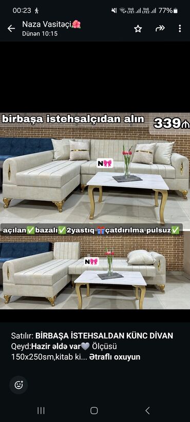 Professional sobalar: Künc divan, Qonaq otağı üçün, Bazalı, Açılan, Kitab