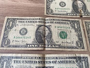5 dollar şəkli: 1 Dollar, 1995 il, Vəziyyəti: Yaxşı — 6