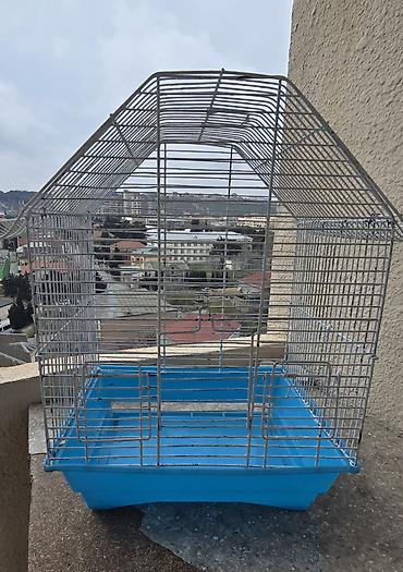 bulbul qefesi: Quş qəfəsi – metal karkaslı, mavi plastik altlıqla - Material: möhkəm — 1