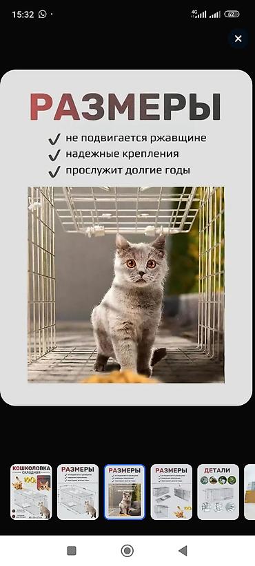 электропастух купить: Складная живоловушка-капкан гуманного типа Назначение: - Отлов кошек — 3