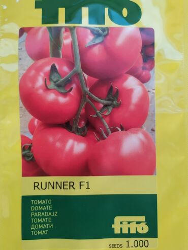 bamiyə bitkisi: Runner f1 hazir sitillerimiz var isteyen elaqe saxlasın🌱🌱🌱🌱🍅🍅🍅