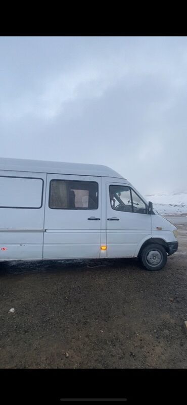 Mercedes-Benz: Mercedes-Benz Спринтер: 1997 г., Минивэн