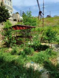 Köhnə tikili: Bakı, Suraxanı, 4 otaqlı, Köhnə tikili, 100 kv. m -da lalafo.az — 12 Köhnə tikili: Bakı, Suraxanı, 4 otaqlı, Köhnə tikili, 100 kv. m — 12