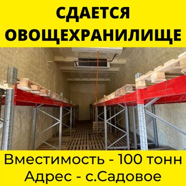 грузоперевозки бишкек москва: Сдаю овощехранилище(помещение с холодильным оборудованием) для