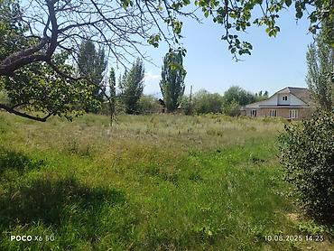 Продажа коттеджей и домов: 5 комнат, 90 м², 55 соток, Барскоон, Собственник — 14