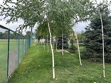 Продажа коттеджей и домов: 🏡 🚨 Продается новый жилой дом - г. Кант, улица Гагарина 62. - 1ый — 20