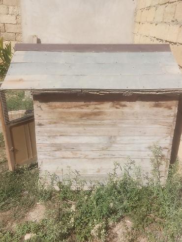 Taxta it evi / dam - Material: qalın taxta karkas, taxta obşivka - lalafo.az -da Taxta it evi / dam - Material: qalın taxta karkas, taxta obşivka -