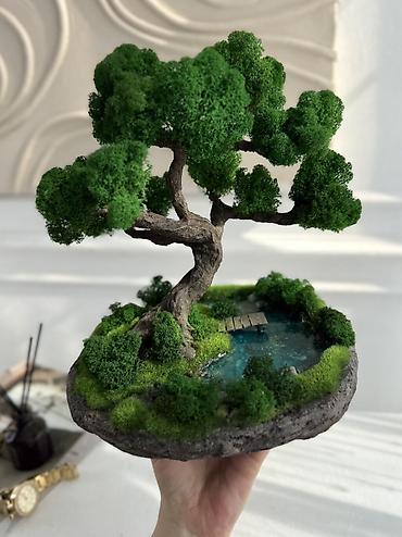 Декоративные цветы: Деревья-бонсай из натурального стабилизированного мха🌳 -это — 94