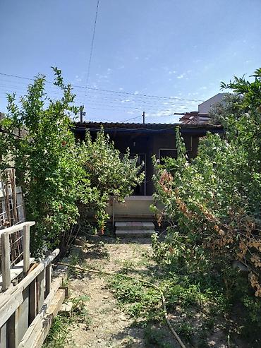 İcarəyə ofislər: Obyekt/Ofis sahəsi - Tək mərtəbəli, ayrı girişli obyekt. Fasadda — 5