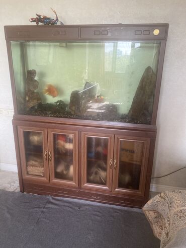 аквариум рыбки: Продаю аквариум фирмы « три кита», из дуба. Вместе с 3 рыбками
