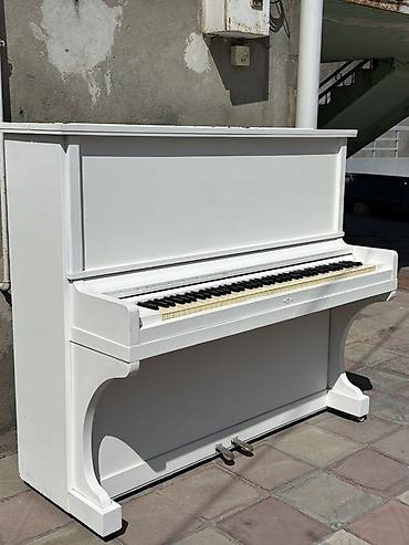 ağ piano: Ağ rəngli akustik upright pianino - Klassik vertikal korpus, sadə və — 5