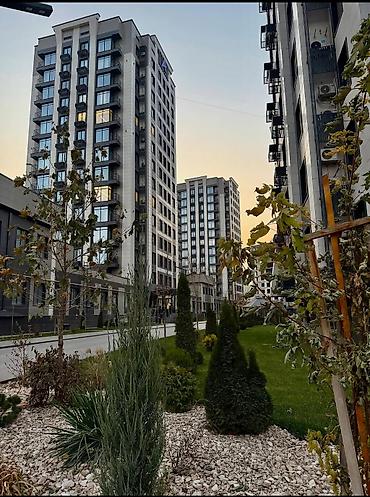 Продажа квартир: 2 комнаты, 48 м², Элитка, Дизайнерский ремонт at lalafo.kg — 13 Продажа квартир: 2 комнаты, 48 м², Элитка, Дизайнерский ремонт — 13