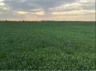 Продажа коттеджей и домов: Продаётся тёплый, светлый кирпичный дом в тихом районе села Ивановка — 27