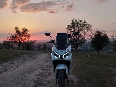 эндуро 200 кубов: CFMoto, 180 куб. см, Бензин, Взрослый, Новый