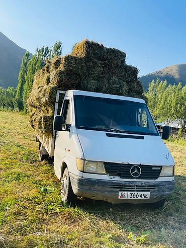 fh 500: Mercedes-Benz Sprinter 408D платформа/борт - Тип: малотоннажный — 5