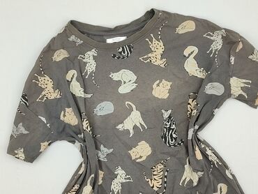 raccoon t shirty: Women`s T-shirt, size M