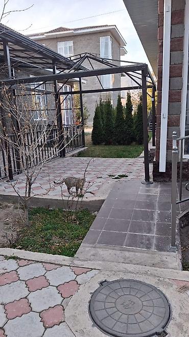 Аренда отелей и хостелов: Сдаётся отдельный гостевой дом с большим остеклённым фасадом и крытой — 10