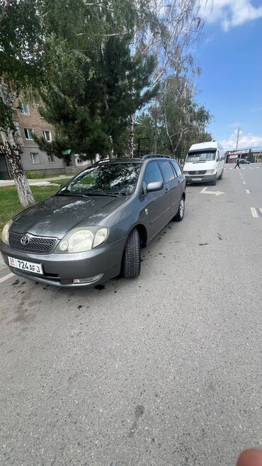 таета универсал: Toyota Corolla: 2002 г., 2 л, Механика, Дизель, Универсал