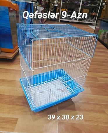 sumqayit qəfəs: Təzə Quş qəfəsləri 9-azn. Valnisti qəfəsləri 9-azn Hər zövqə uyğun — 8
