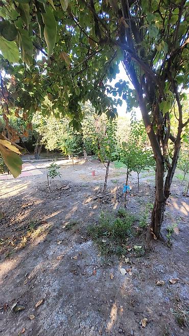 Bağ evlərinin satışı: Mingəçevir, 85 kv. m, 3 otaqlı -da lalafo.az — 18 Bağ evlərinin satışı: Mingəçevir, 85 kv. m, 3 otaqlı — 18