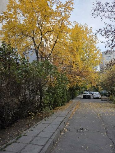 квартира ак босого на долгий срок: 2 комнаты, 56 м², 105 серия, 2 этаж, Старый ремонт
