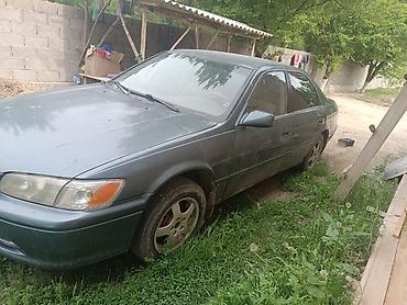 ноускат камри 70: Toyota Camry: 2000 г., Автомат, Седан — 1