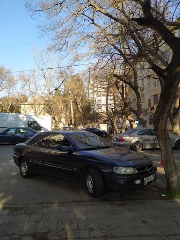 xacmaz masin: Opel Omega: 2 l | 1994 il 3000 km Kabriolet