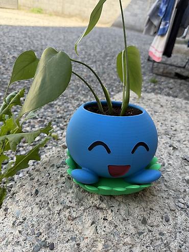 🌱 Филодендрон в горшке-покемоне Oddish 🌱 горшки большие Продаю