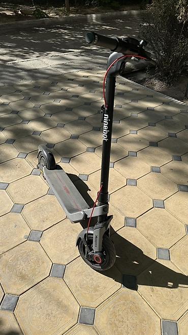 3 7v: Электросамокат, Ninebot, Без рассрочки, Новый, Самовывоз — 1
