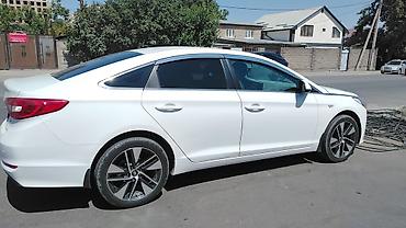 sonata 2012: Hyundai Sonata: 2016 г., 2 л, Автомат, Газ, Седан — 2