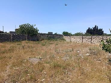 Torpaq: 19 sot, Tikinti, Mülkiyyətçi, Kupça (Çıxarış) — 2