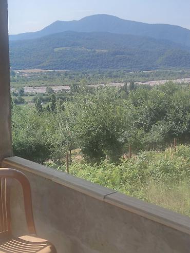 с проживанием: 3 otaqlı mənzil – mebellə - Geniş, işıqlı zal: pərdə və tül, asma — 6