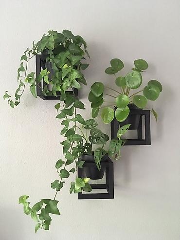 Полки для вещей и одежды: Полка для вещей и одежды, Новый, Дерево, Самовывоз, Платная доставка — 10