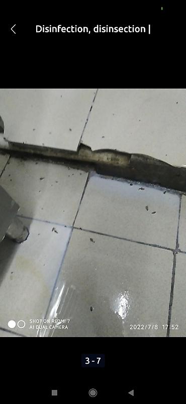 Дезинфекция, дезинсекция: Дезинфекция, дезинсекция, | Клопы, Блохи, Тараканы, | Транспорт, Офисы, Квартиры at lalafo.kg — 8 Дезинфекция, дезинсекция: Дезинфекция, дезинсекция, | Клопы, Блохи, Тараканы, | Транспорт, Офисы, Квартиры — 8
