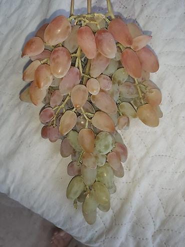 Долгосрочная аренда домов: Продаётся 2 жилых дома на одном участке в Петропавловке ул Фрунзе — 30