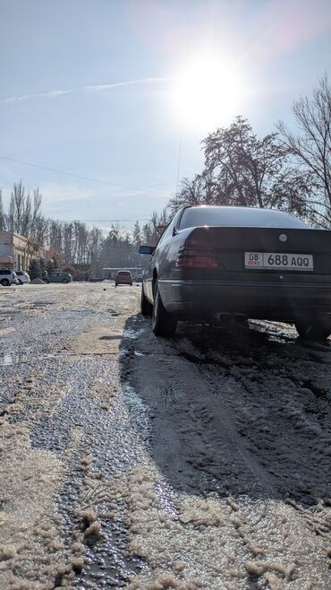 Mercedes-Benz: Mercedes-Benz W124: 1991 г., Купе — 6