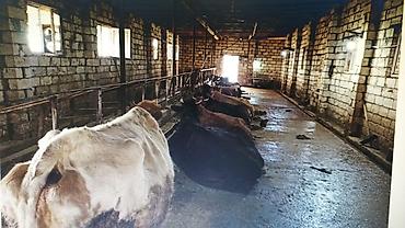 mida yasamal da ev satılır: FERMA HAZIR ISTIFADEYE YARARLI HEC BIR XERC TELEB ETMIR UMUMILIKDE 4 — 2