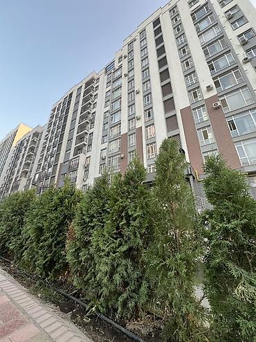 1 комната, 44 м², АУЦА Элитка, 12 этаж, ПСО (под самоотделку)