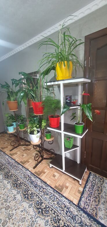 Декоративные цветы: Гүл койгучтар сатылат.биринчи ярус 52см,экинчи ярус 1м05см. баасы — 14