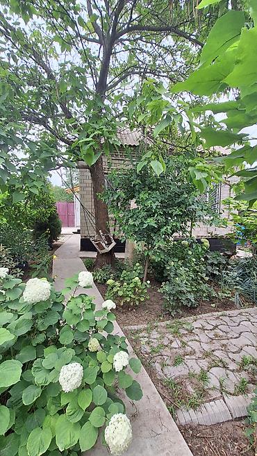 Продажа дачи: ☎️0•703•88•88•00 🌿 Продаются два участка по 5 соток в селе Бек-тоо На — 16