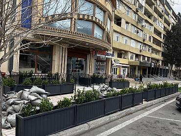 epimedium bitkisi satisi: Taxtalar ile ve, restoran, ofis, otel ve s. Məkanlarınızın müasir və — 3