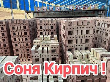 полублок: Пустотелый, дырчатый, Жженый кирпич, Полублок, 250×120×90 — 1