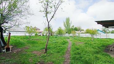 Продажа коттеджей и домов: Продаётся жилой дом с большим участком. ( Без риалтора ) Рядом вся — 2