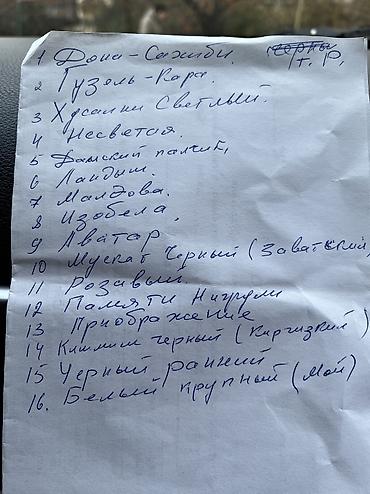 Продаю черенки элитных сортов винограда