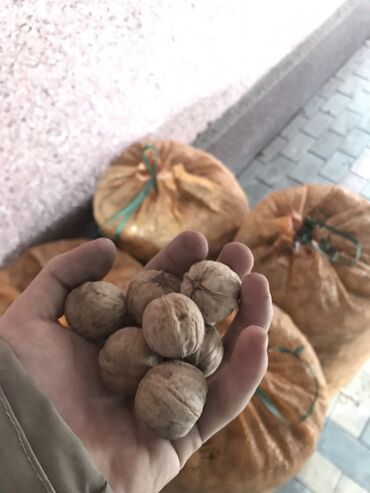 грецкий орех цена: Орехи дома большое ореховое дерево собирали осенью орехи хорошие